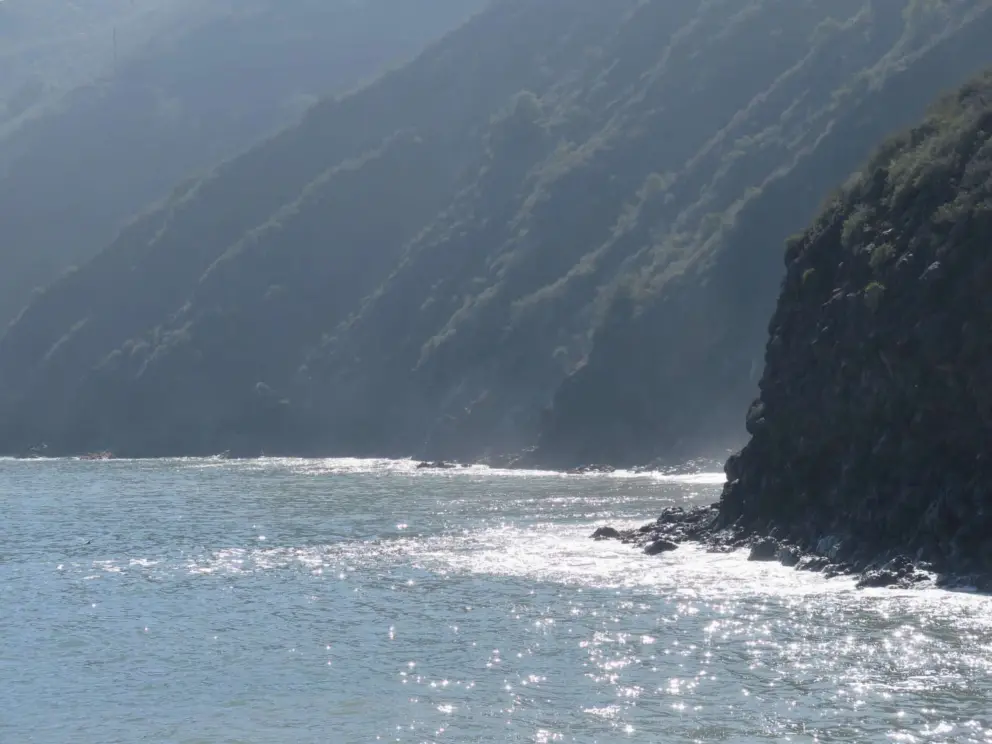 Sparkling water and the coastline north of Harford Pier, almost like Kauai!