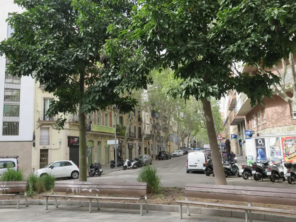 Benches in a roundabout on Rambla del Poblenou. A place to chat at the end of the day. 