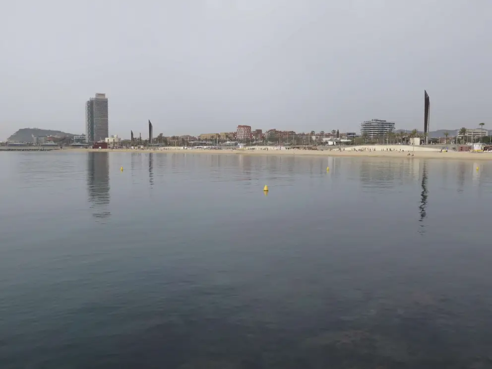 Looking toward the coastline from the jetty.