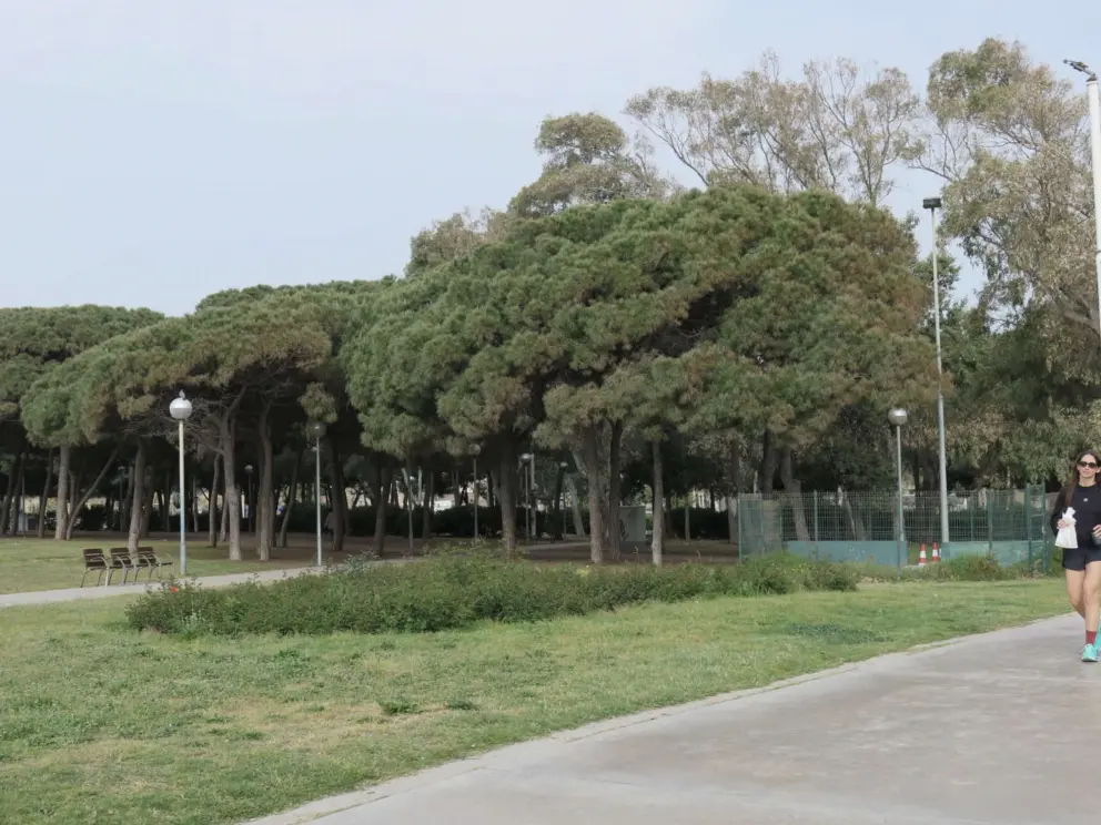 The wooded area is a bit sketchy.