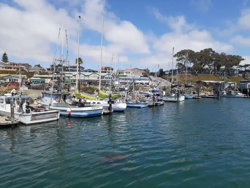 View from the T-Pier. 