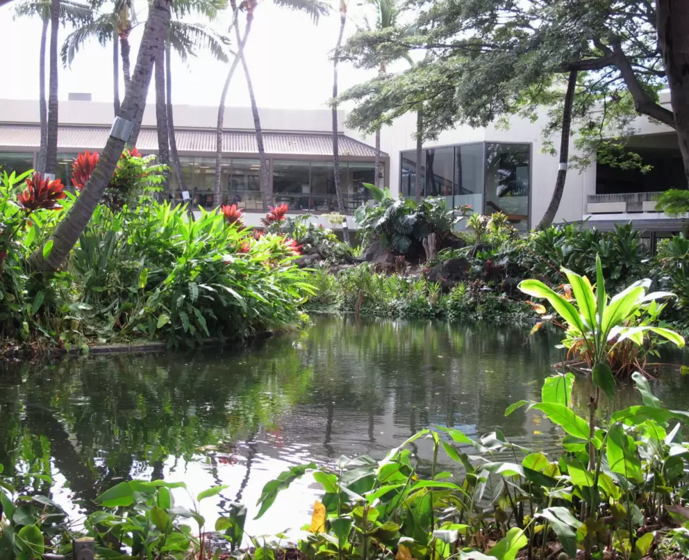 Exotic plants in the Hawaiian garden.