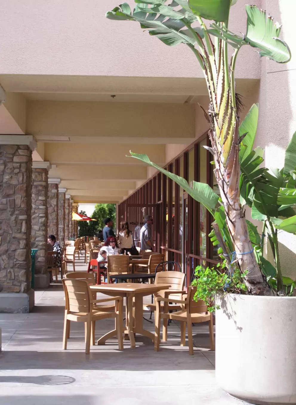 Outdoor seating and banana tree in a pot.