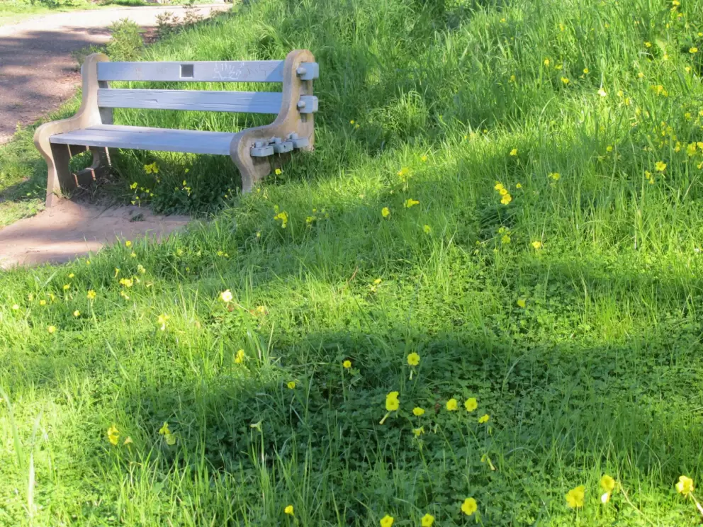 Lover's bench in February.