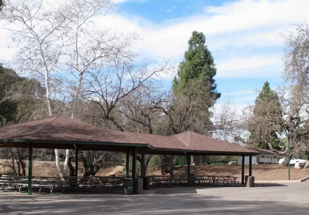 Shaded BBQ area.