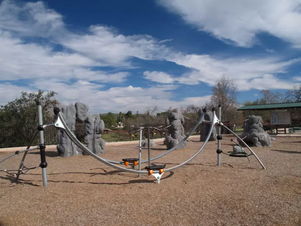 Fun for the big kids.