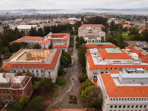 View from the top of the campanile.