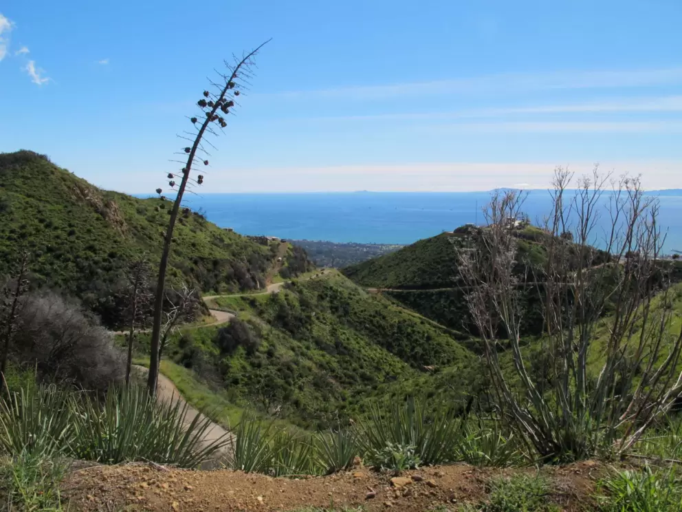 Driving up Gibraltar Road. Paradise!