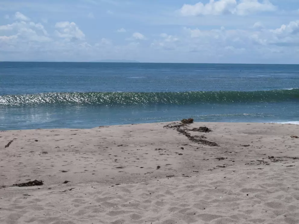 The beach.