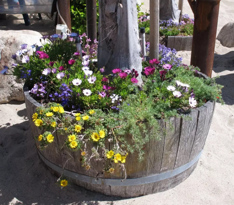 Barrel with palm tree and flowers.