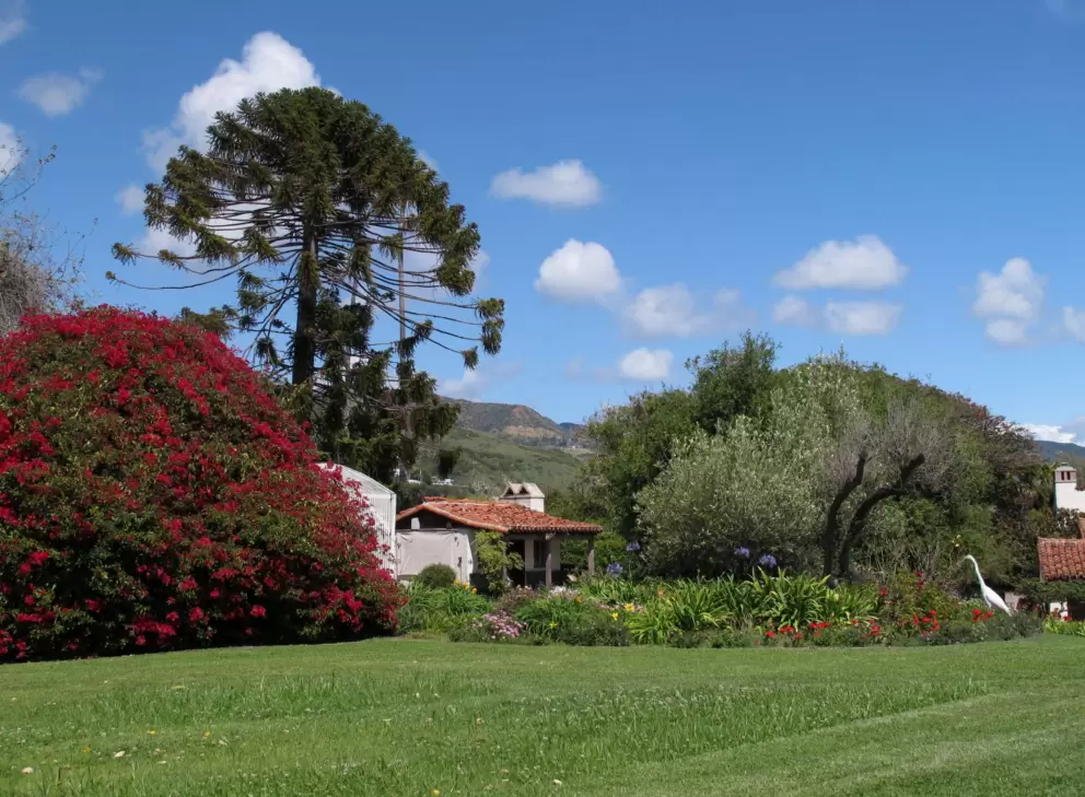 Adamson House gardens- see the white egret at bottom right.