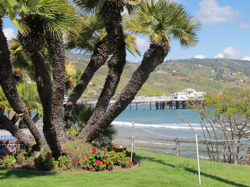 Malibu pier as seen from the green lawn- isn't this place bliss?