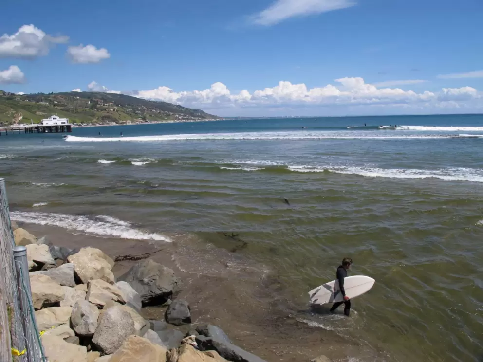 Malibu pier and a surfer, seen from Adamson House gardens.