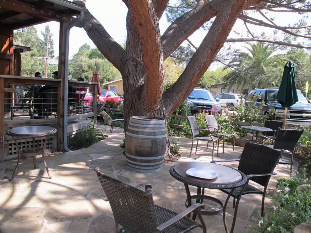 Chairs and tables under the huge tree outside Corner House Coffee.