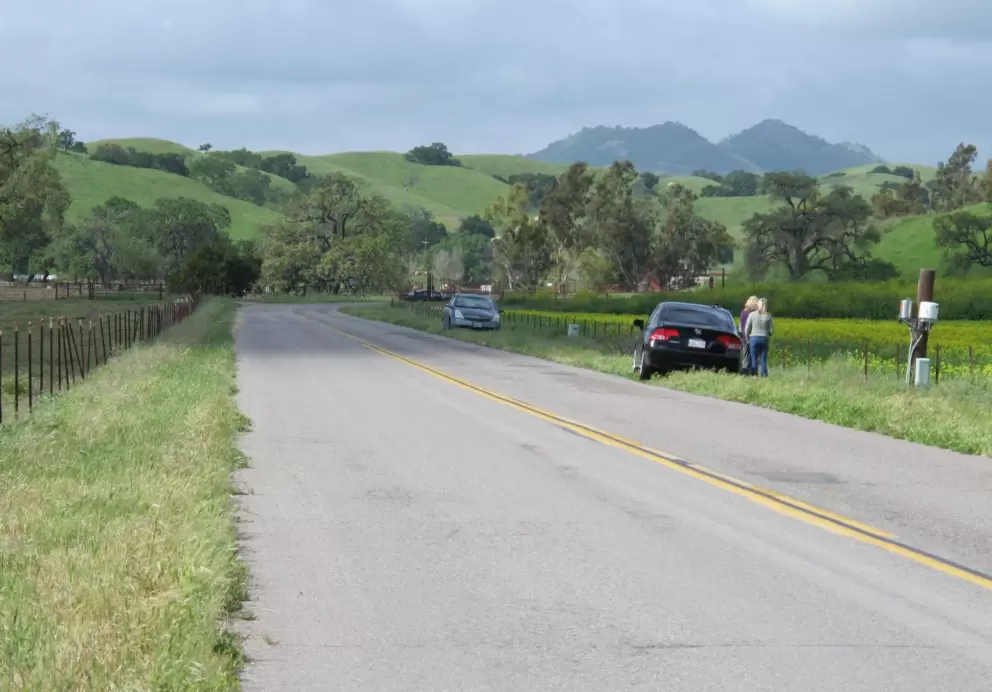 Photographers stop to take photos of the yellow wildflowers. I love the open road here!