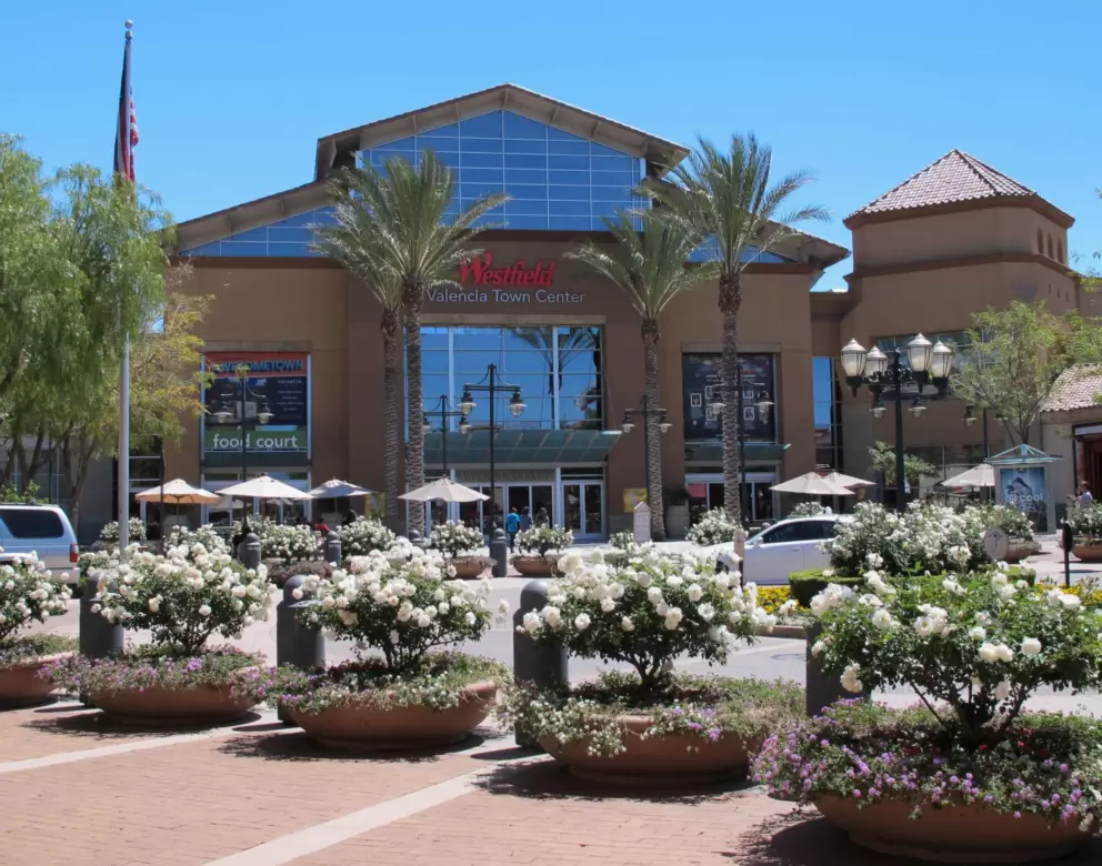 Flowerpots and palms outside Valencia Town Center Mall.