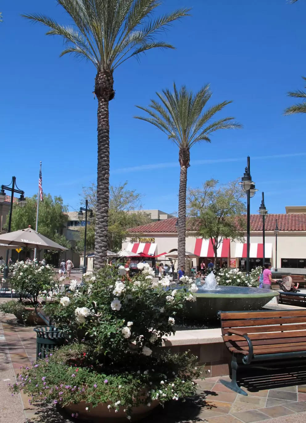 Palms and benches by the fountain in the central outdoor area.