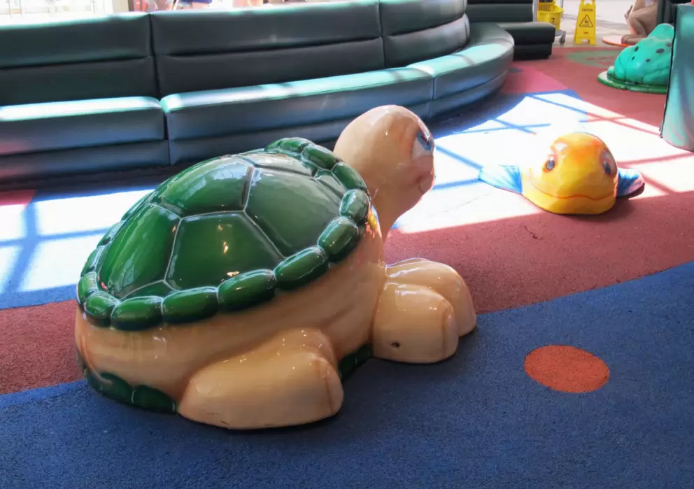 Turtle and fish to climb.