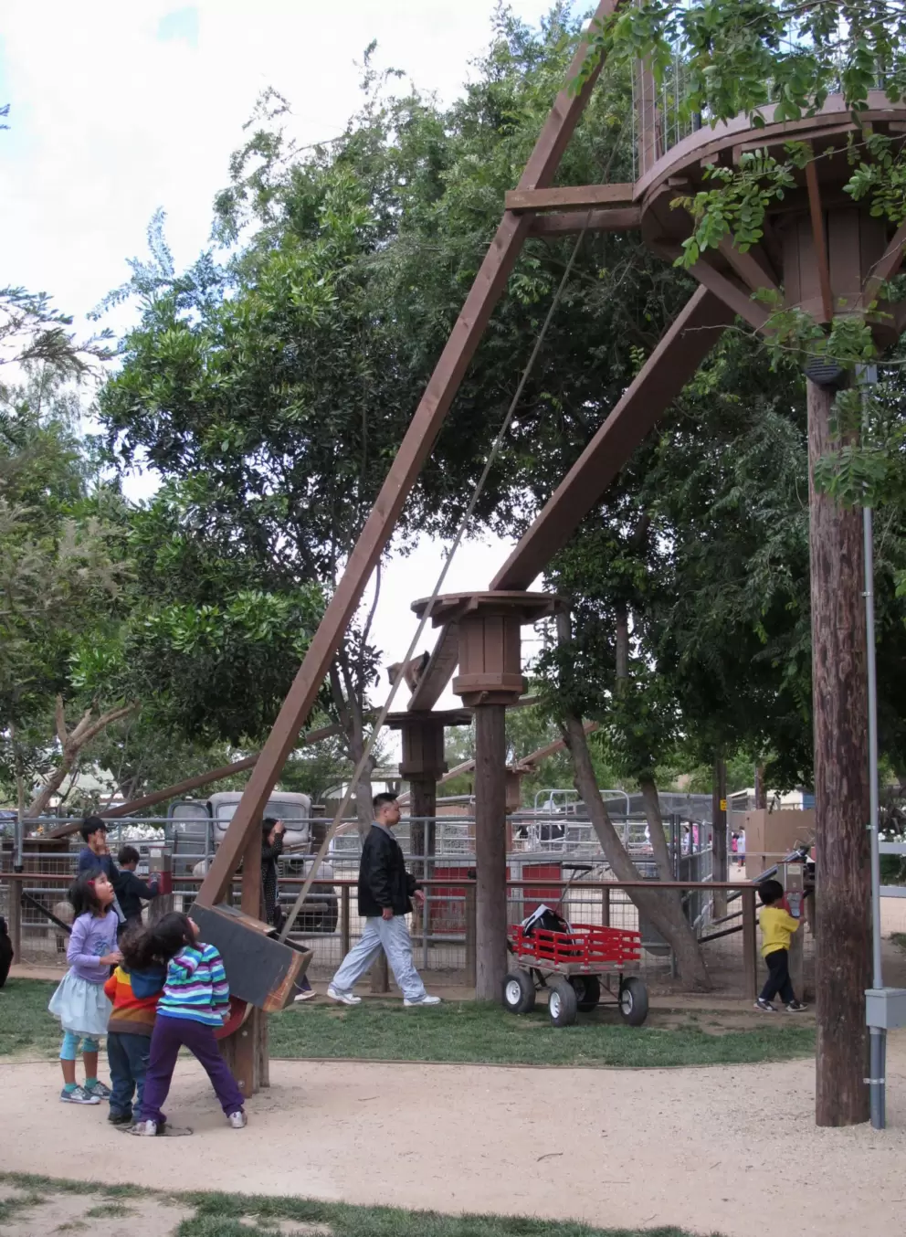 Feeding the pygmy goats via a pulley.