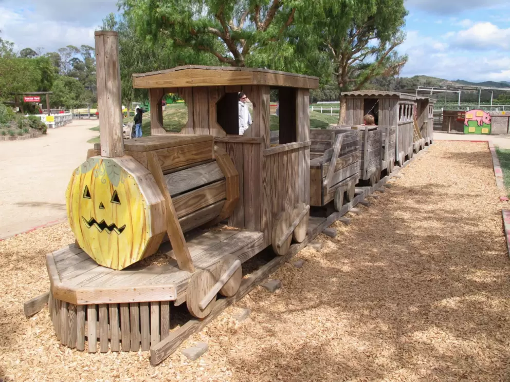Pumpkin train.