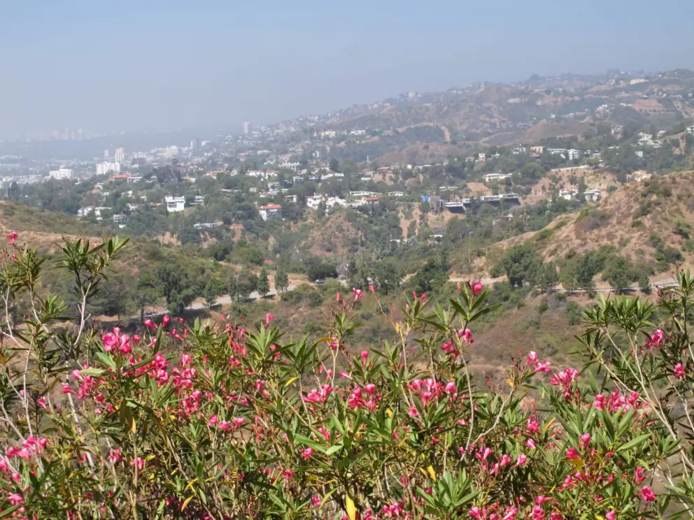 View from East Observatory Rd.