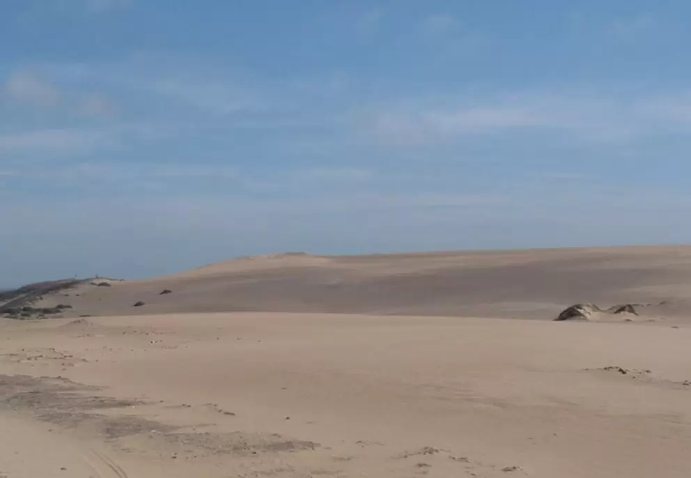 The dunes are continually resculpted by wind and waves.