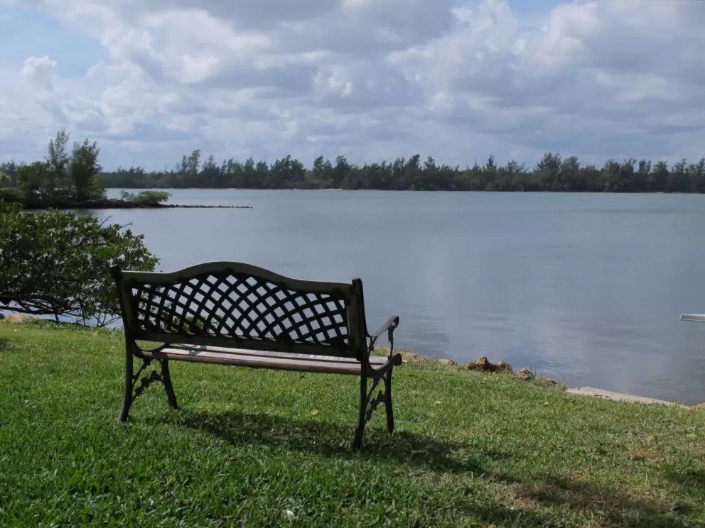 Bench with serene view, on The Ramble.