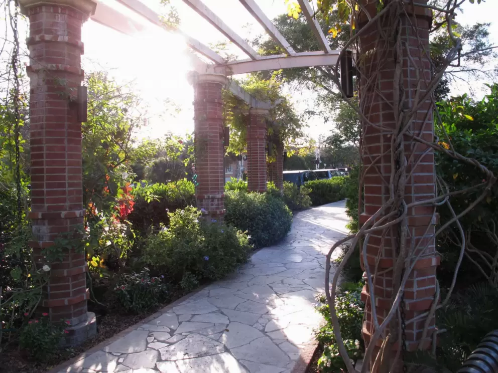 Rose garden area on Park Ave.
