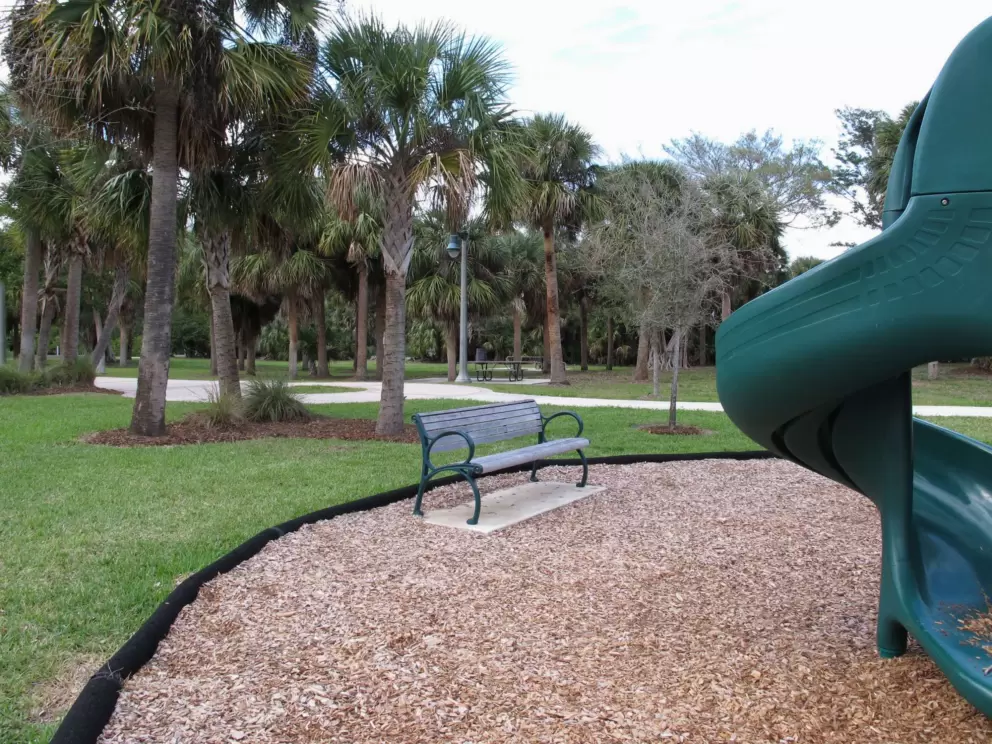 Twisty slide and bench by the cabbage palms.