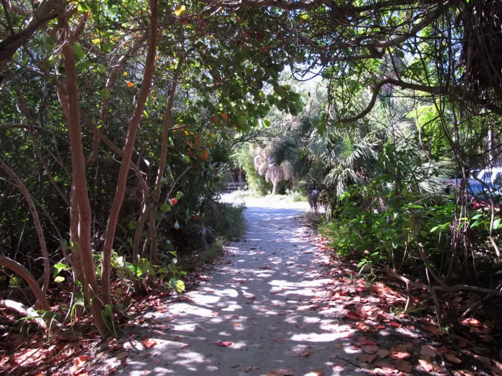 Tropical trail from the parking lot.