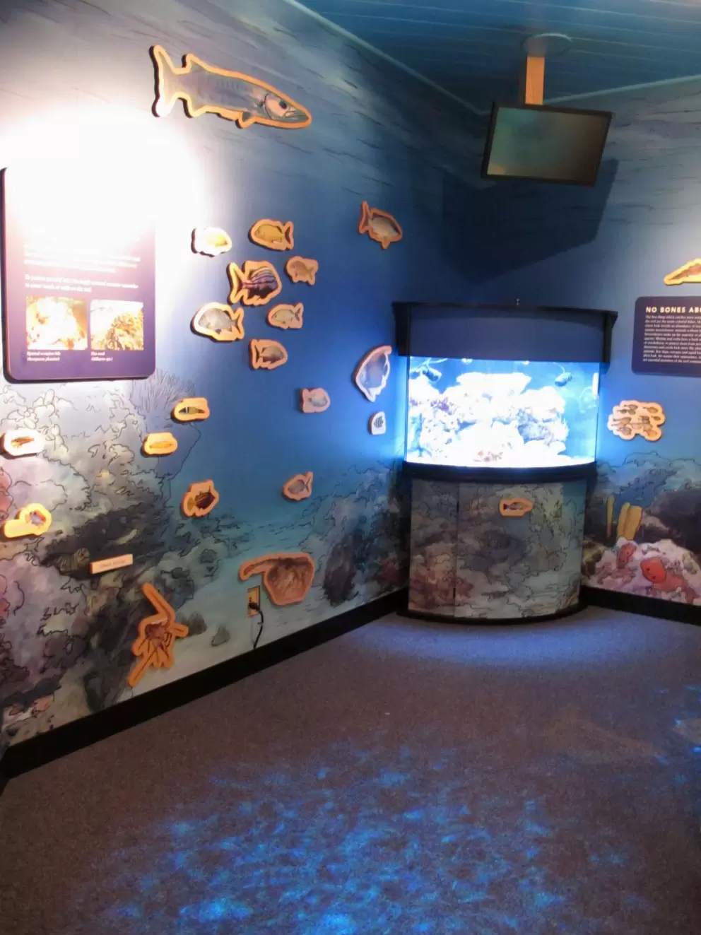 Light projection that makes it look like you're underwater, in the nature center.