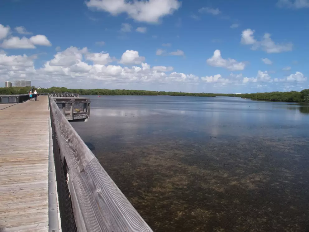 Two women walk the boardwalk over the estuary. See the clear water below.