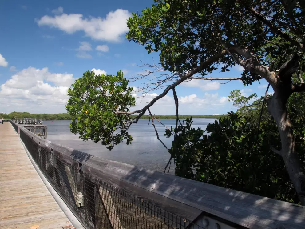 Pretty view of the boardwalk.