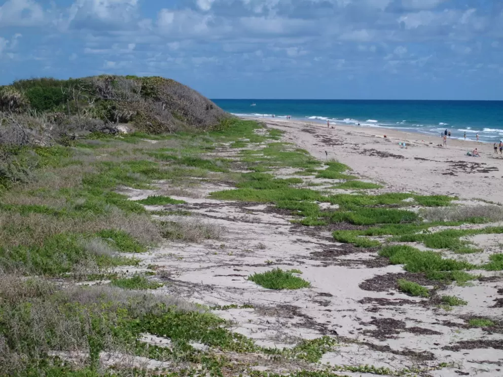 The beach has a pretty shape to it.