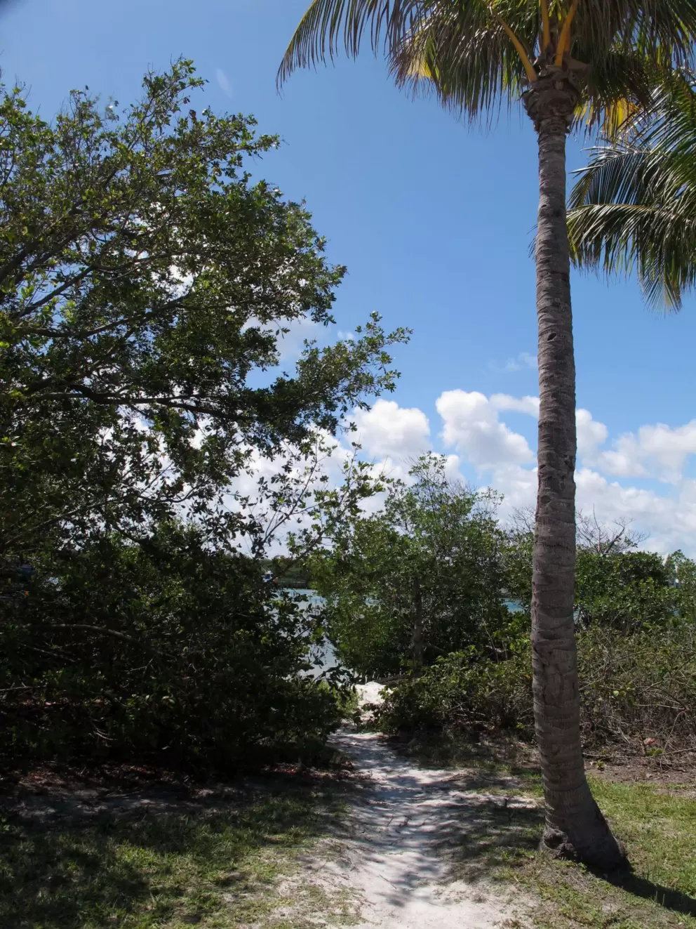 Path to the little private beach on the intracoastal waterway.