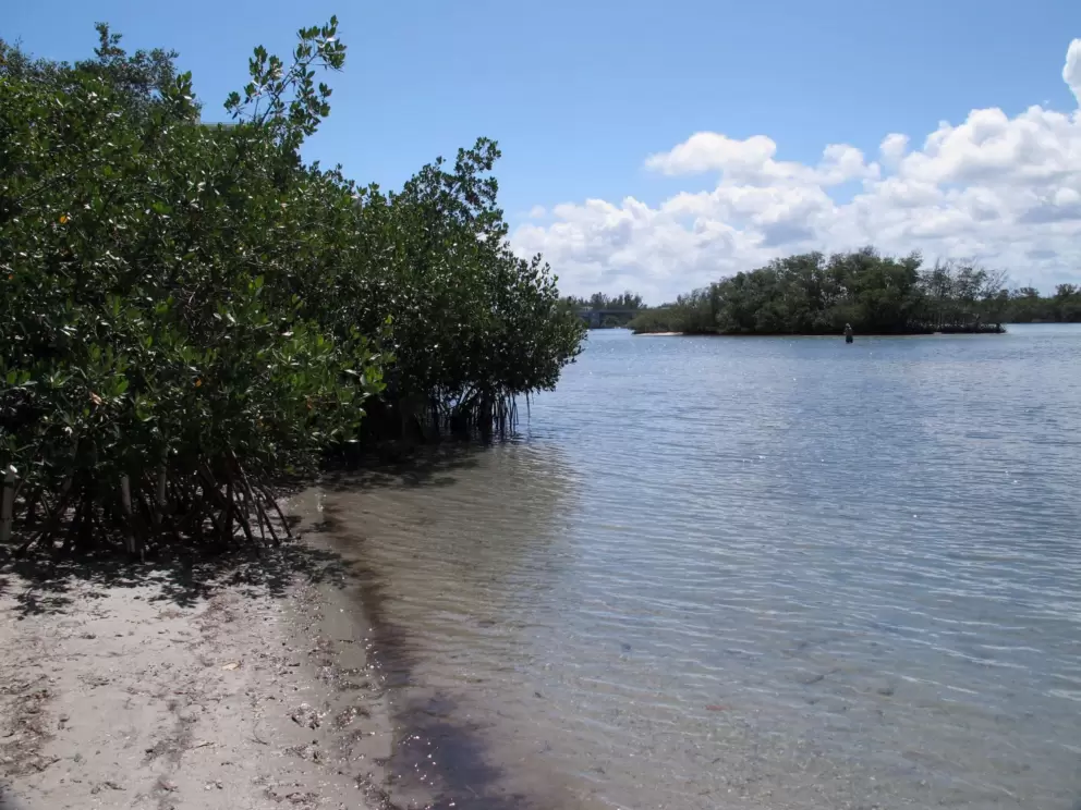An island in the intracoastal waterway.