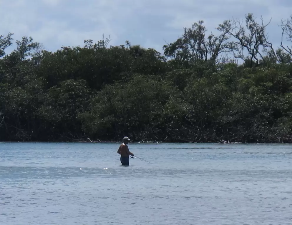 A fisherman deep in the water.