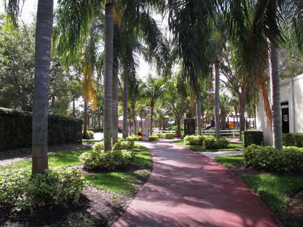 A tropical oasis!
