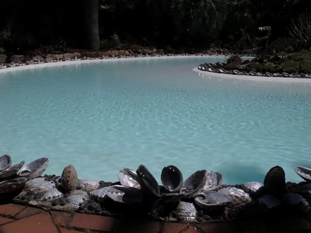 I love the shape of the abalone pool.