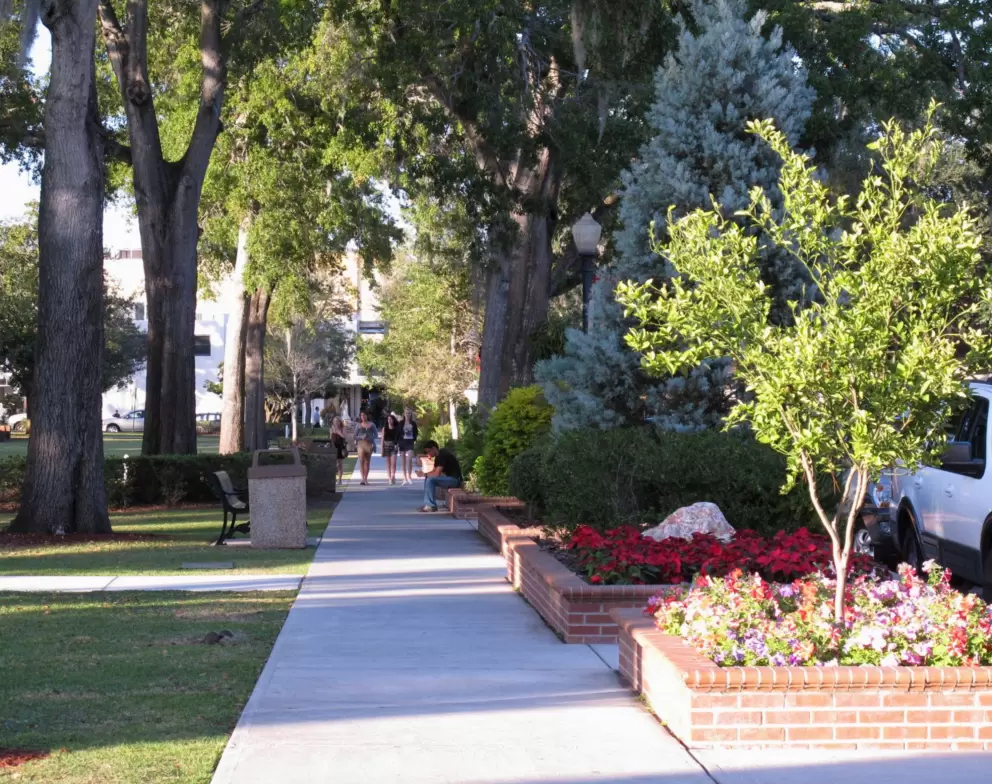 Flower beds and trees in the park.
