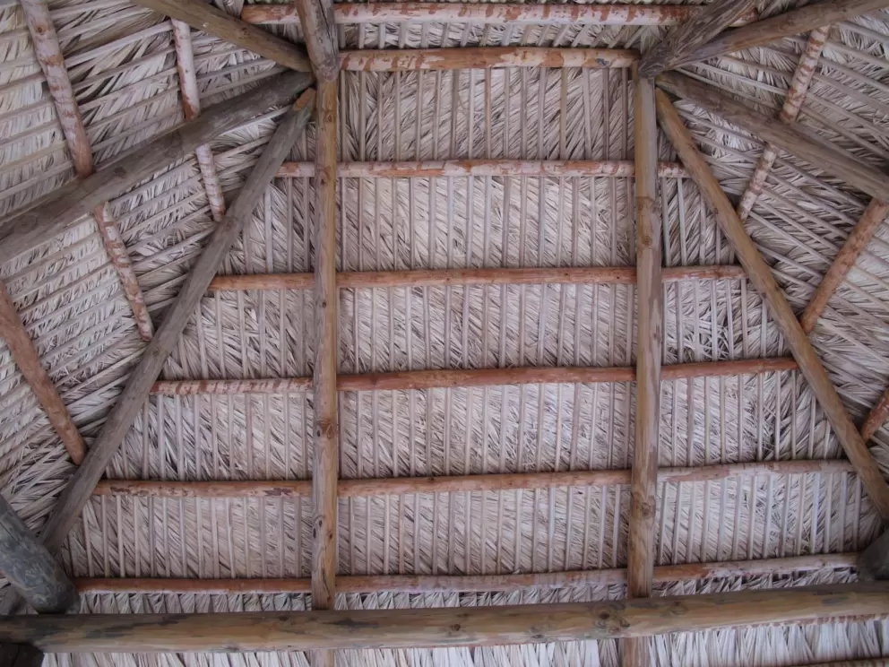 Love the thatched roof.