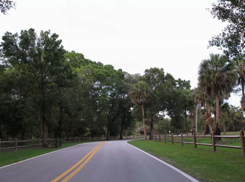Driving through the park is beautiful.