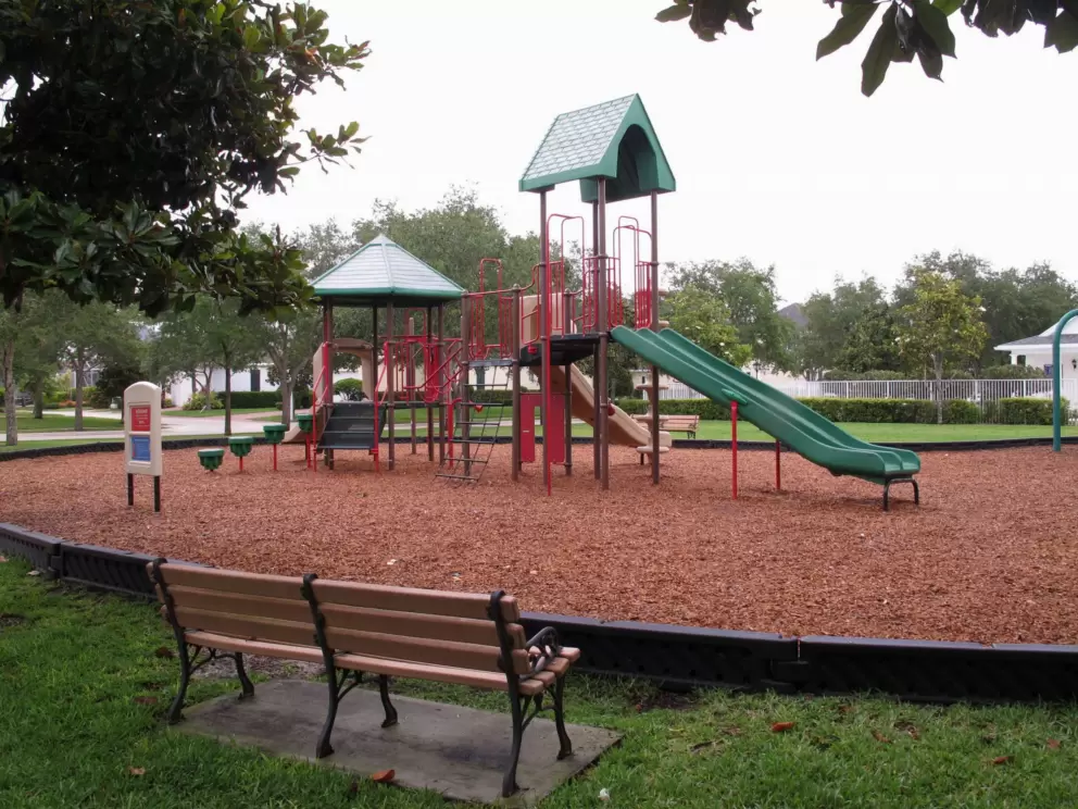 Bench and play structure.