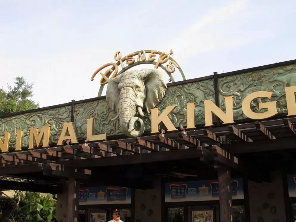 Animal Kingdom Theme Park, Disney World