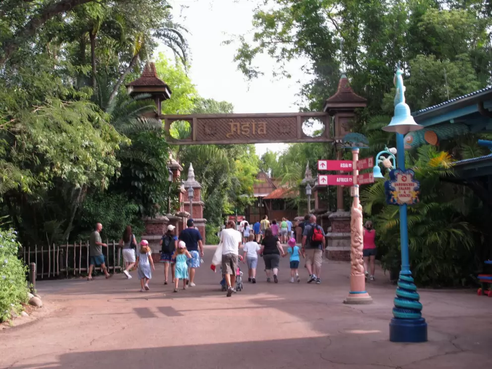 Animal Kingdom Theme Park, Disney World