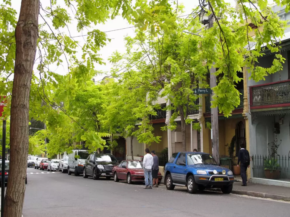 Street with brightest green trees.