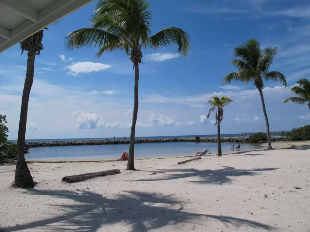 People on beach chairs burning up in the midday sun.