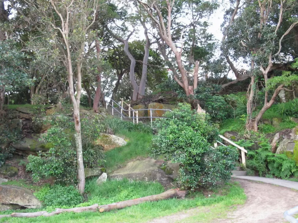 Pretty pathway through the trees.