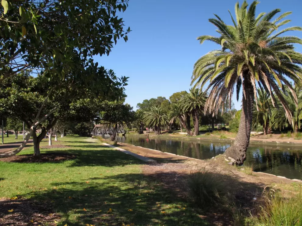 Canal lined with palms.