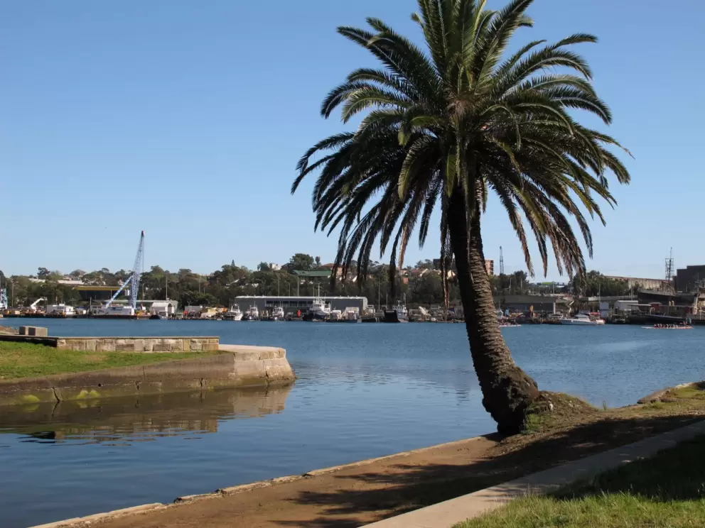 Palm at the end of the canal.